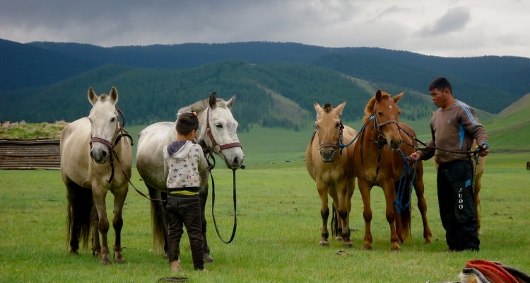 Mongolie, une semaine en trek à cheval à Kharkhorin (1/2)